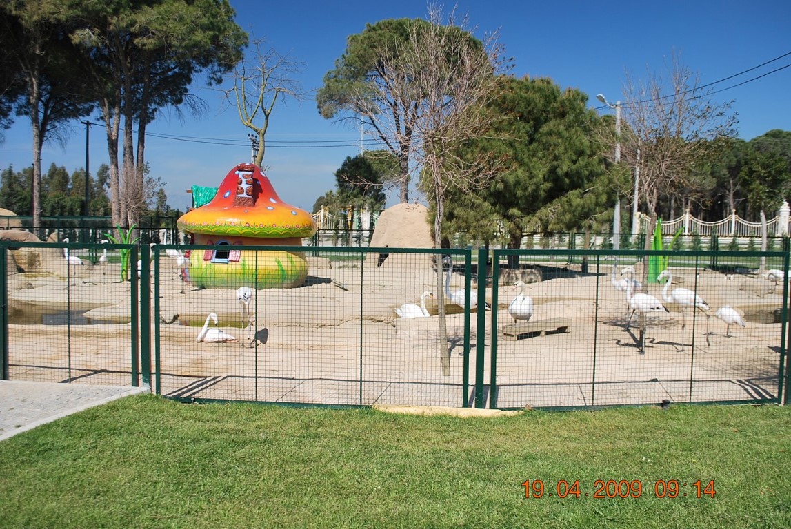 imagini hotel MARDAN PALACE